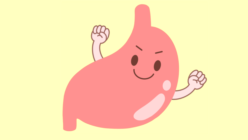 元気な胃