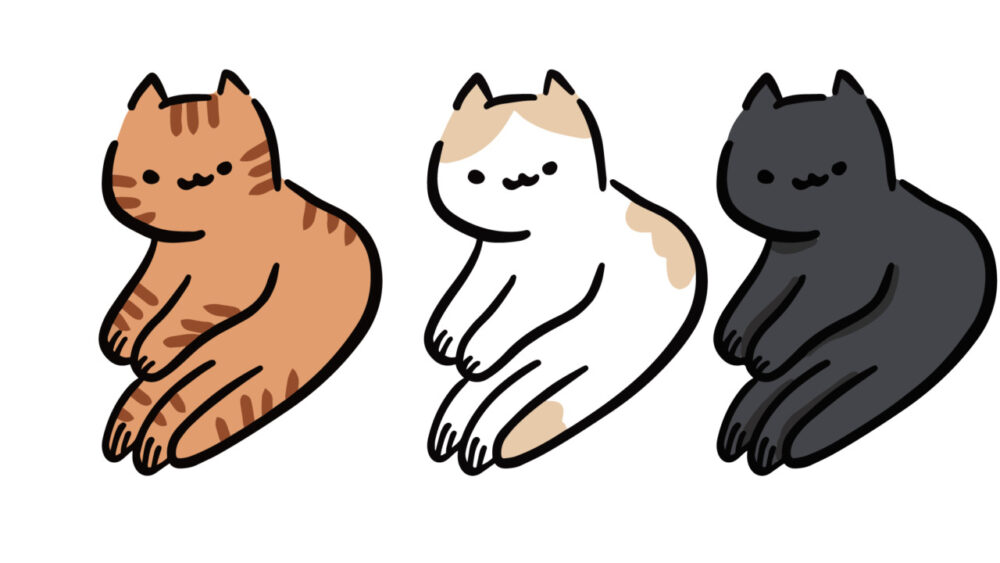 3種類の猫